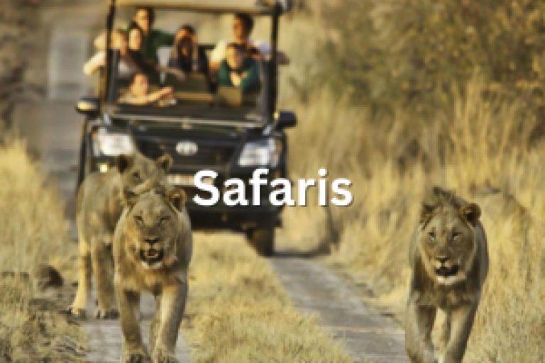 safaris watoosee