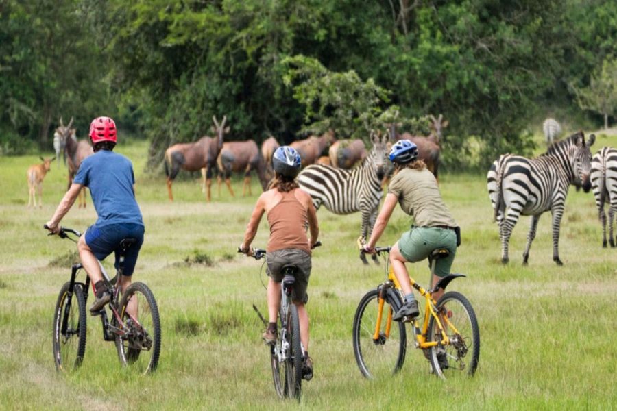 parc safari ouganda watoosee