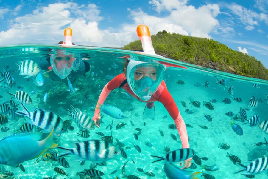 Cape Town snorkeling south africa