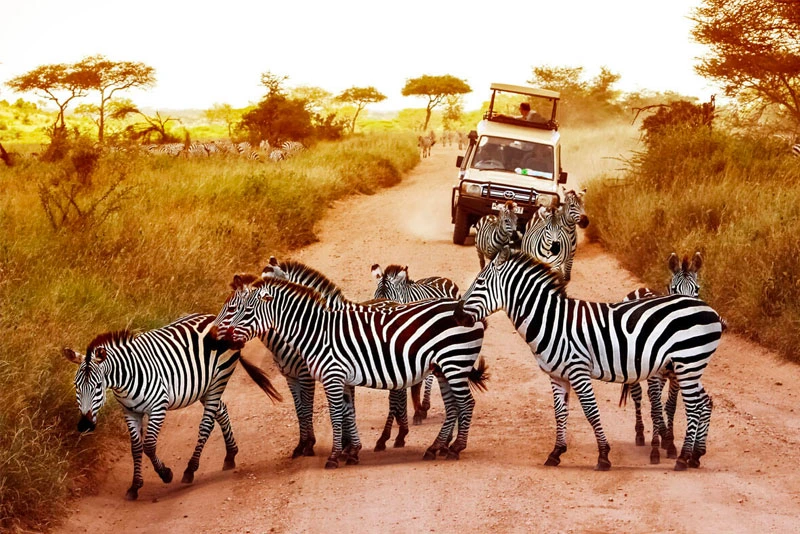 Zimbabwe