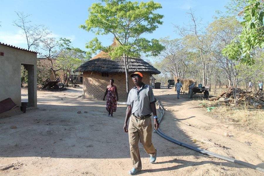 homme village zimbabwe