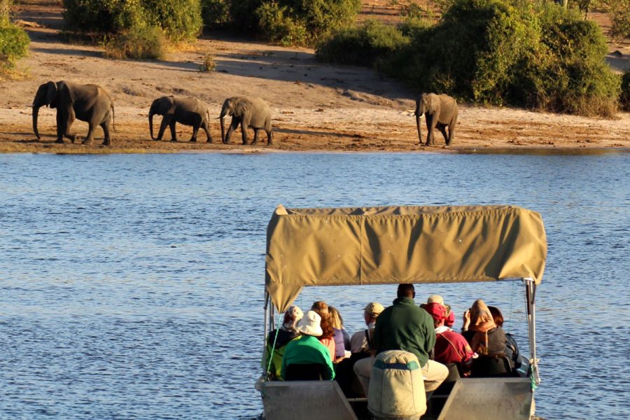 parc national chobe zimbabwe