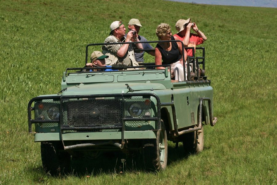 land rover, jeep, safari Ouganda Rwanda