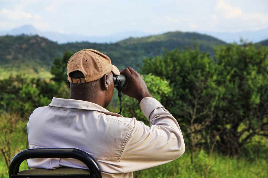 Safari nord Rwanda stalk, africa, binoculars