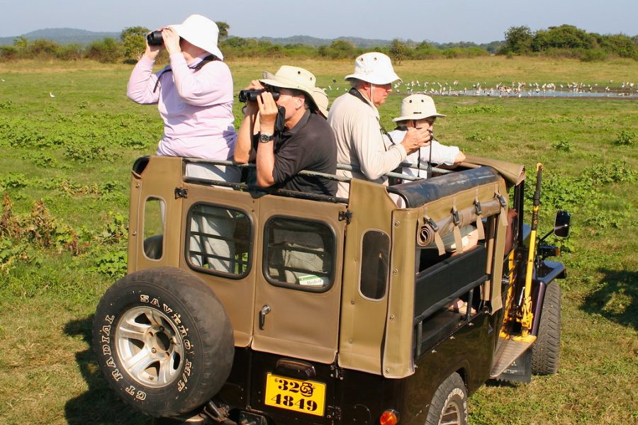 Safari Ouganda Rwanda