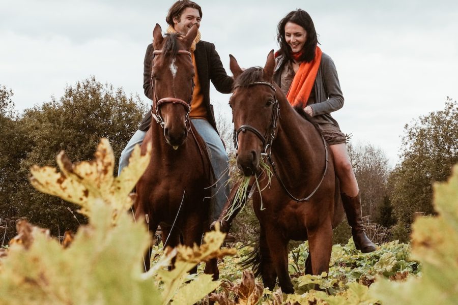 woman in black jacket riding brown horse during daytime