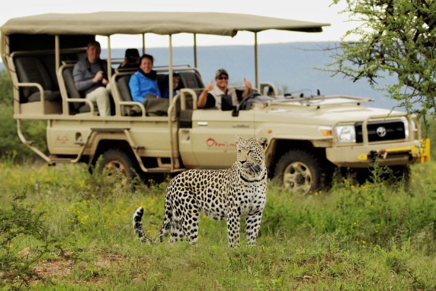 safari uganda with watoosee