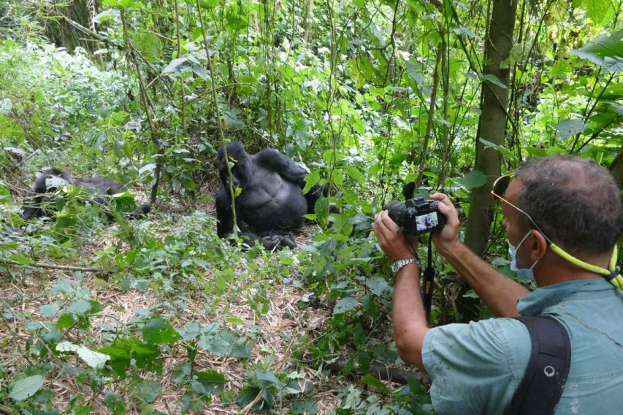 afrique safari Rencontre avec la faune d'Ouganda