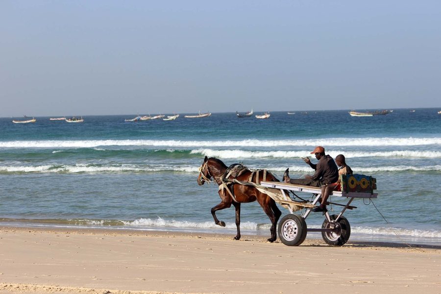 Visiter Dakar au Sénégal