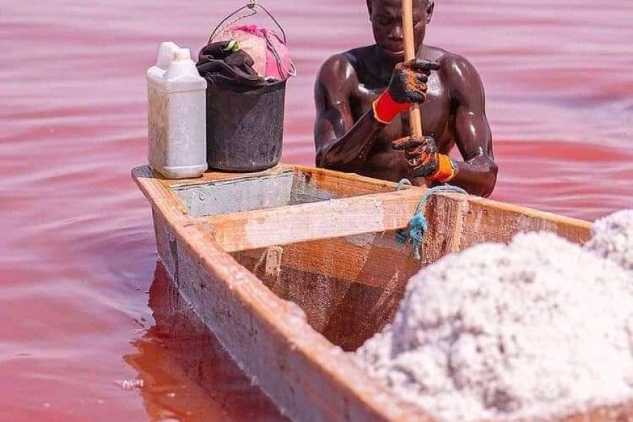 visiter le lac rose au Sénégal