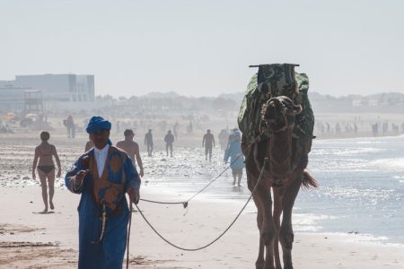 Vivez l’expérience inoubliable de la Vallée du Paradis, une destination à ne pas manquer au Maroc
