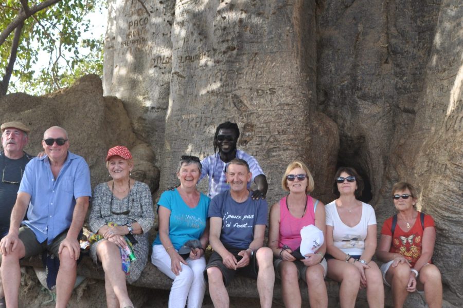 Groupe de touristes autour d’un grand Baobad au Sénégal marché de brousse
