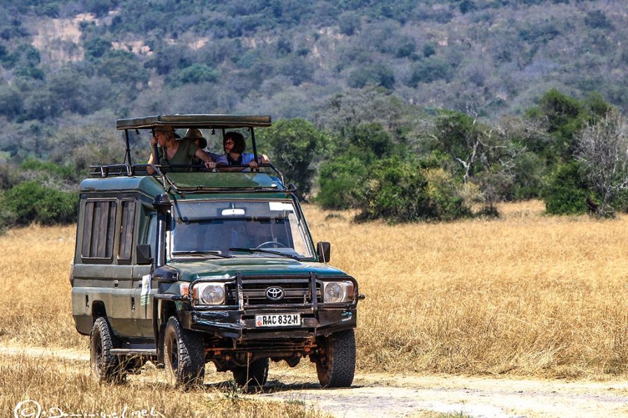 Safari dans le parc national de l’Akagera – 3 jours