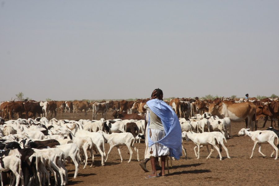 Mundari Dinka au sud du Soudan