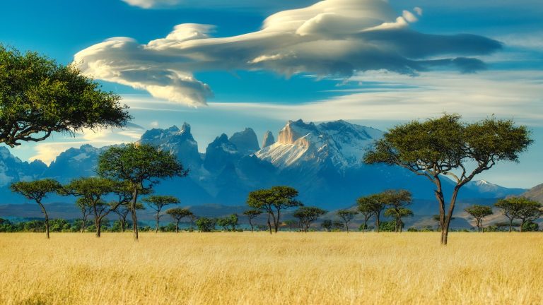 visitez l'afrique avec watoosee