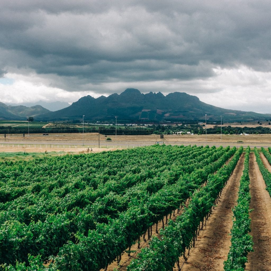 Stellenbosch south africa watoosee