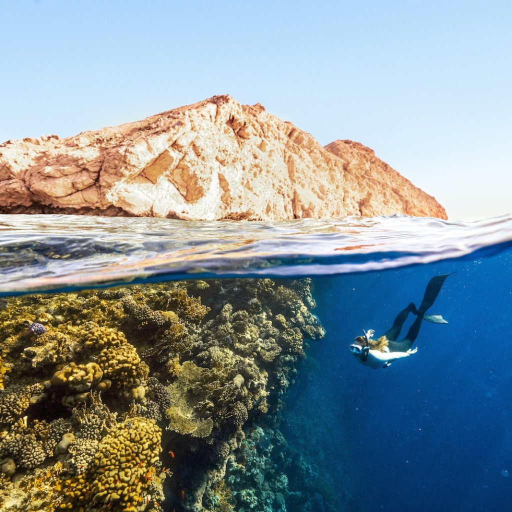 plongée sous marine tunisie watoosee