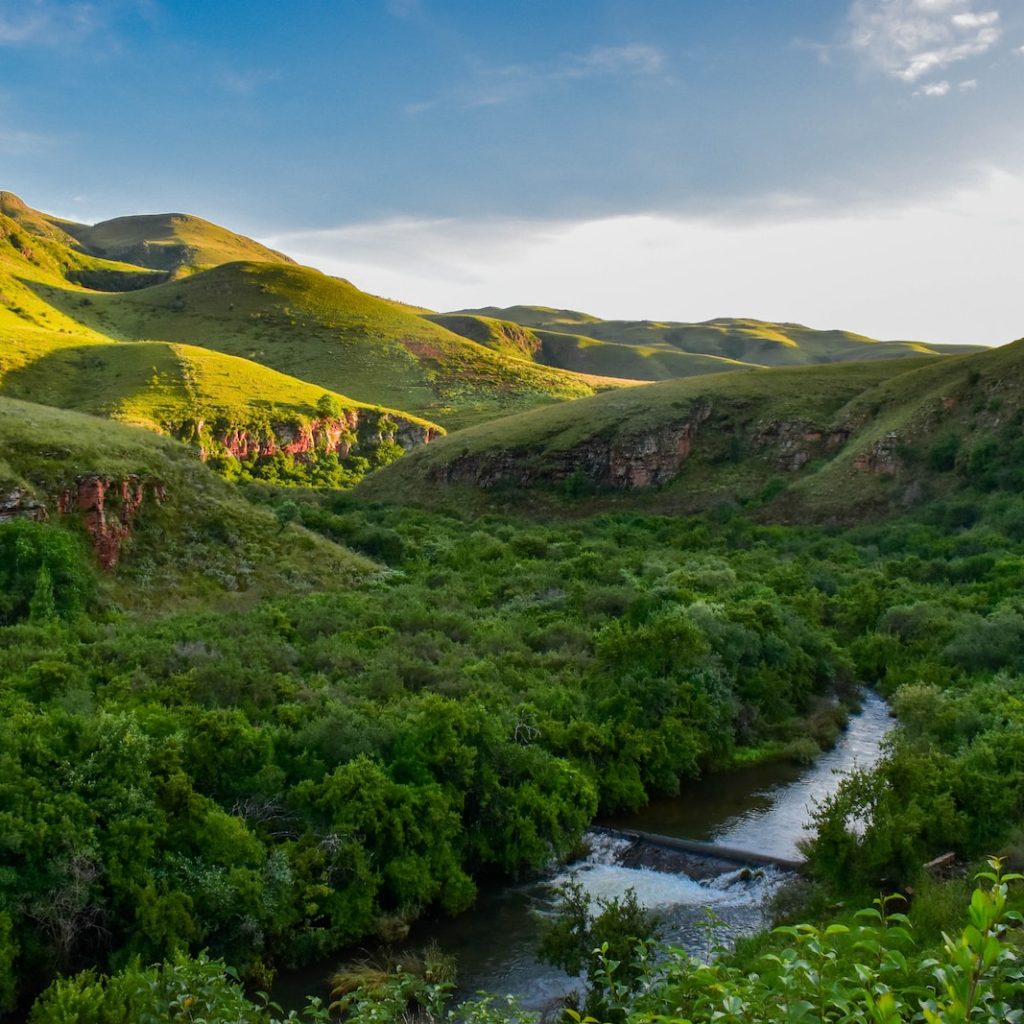 afrique du sud voyage watoosee