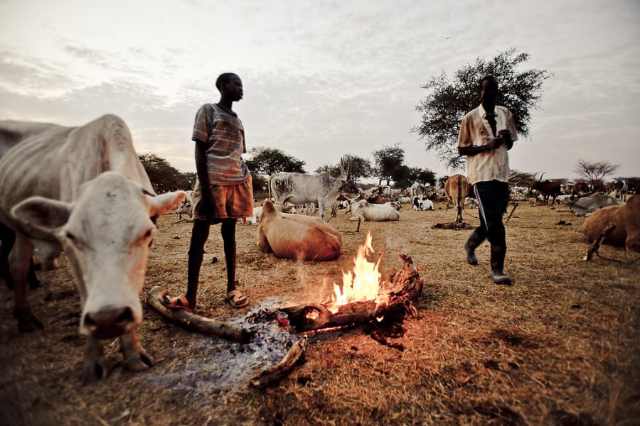 Exploration culturelle à travers Juba, Dinka, Sudd et Mundari en 5 jours