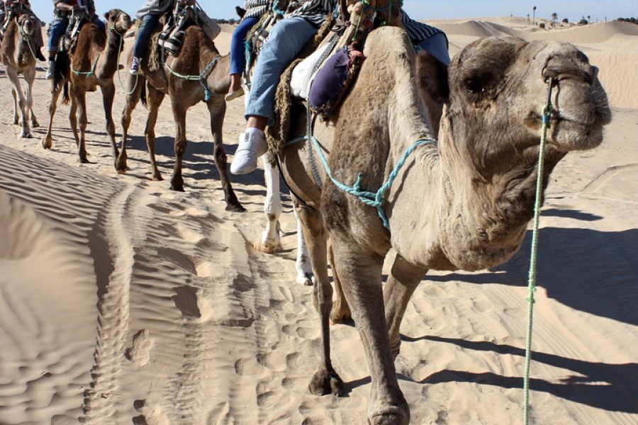 tunisie voyage