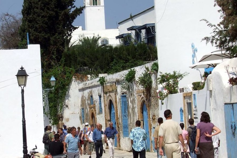 Joyaux Tunisiens : Tour Privé de Tunis, Carthage et Sidi Bou Said en une journée