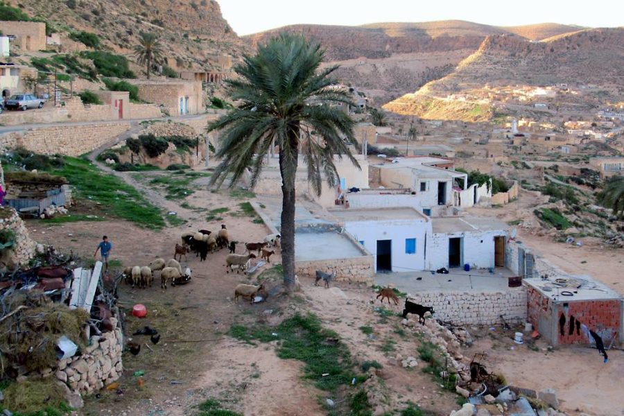 2 jours en Terre Berbère