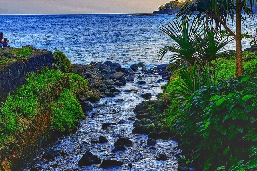 Visite Balad’Est à la Réunion