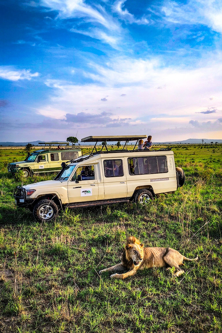 groupe touristes tanzanie