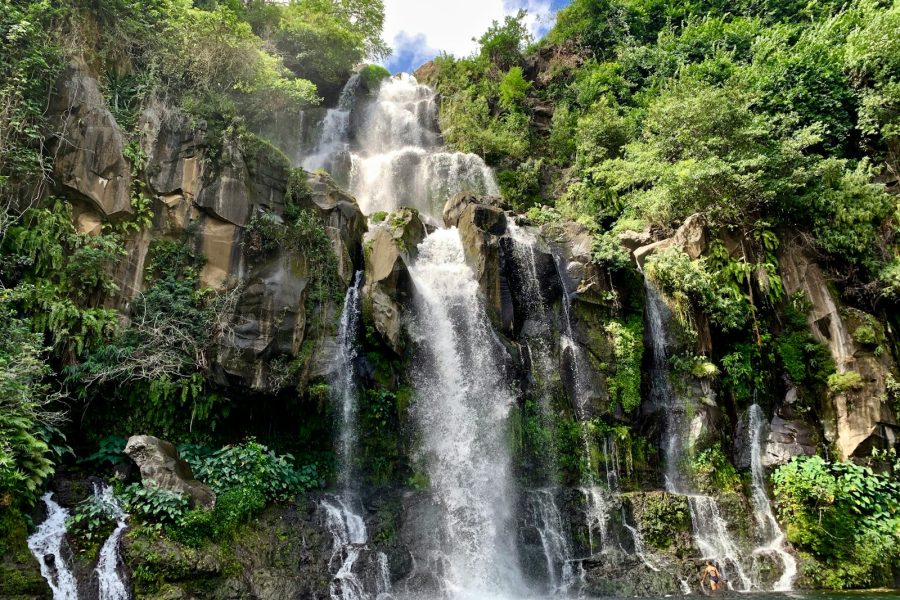 la reunion watoosee