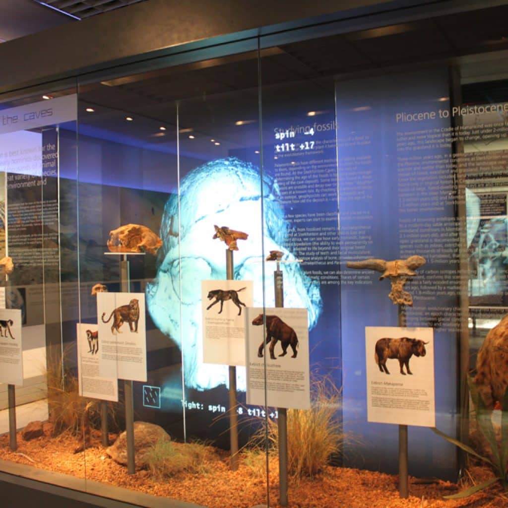 Sterkfontein johannesburg