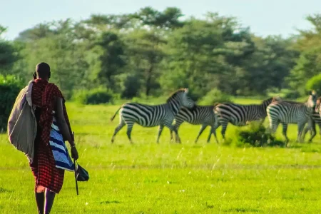voyage safari au kenya : découvrez la savane et ses merveilles